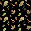 Seamless pattern autumn oak, birch, maple leaves, rose hips, linden and maple seeds. Hand-drawn watercolor. Royalty Free Stock Photo