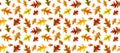 Seamless pattern of autumn oak leaves isolated on a white background. Bright multi-colored oak leaves. Banner Royalty Free Stock Photo