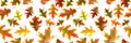 Seamless pattern of autumn oak leaves isolated on a white background. Bright multi-colored oak leaves Royalty Free Stock Photo