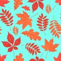 Seamless pattern with autumn parthenocissus, oak, rowan, maple foliage. Creative vector illustration Royalty Free Stock Photo