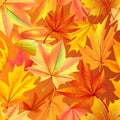 Seamless Pattern with Autumn Yellow Leaves, Aging