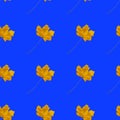 Seamless pattern with autumn yellow leaves on blue color