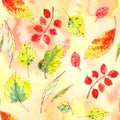 Seamless pattern of autumn yellow, red, orange, green leaves on a textured yellow orange background Royalty Free Stock Photo