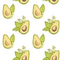 Seamless pattern avocado fruit half seed, green leaves, flowers. Vegetable clipart. Vegan dietary food painting. Hand