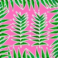 Seamless pattern with Azadirachta indica leaves