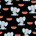 Seamless pattern baby elephants and red watermelon Royalty Free Stock Photo