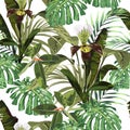 Seamless pattern, background with brown orchid, palm and bananas leaves on white background. Royalty Free Stock Photo