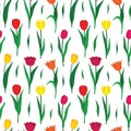 Seamless pattern background with colorful tulip flowers. Vector illustration Royalty Free Stock Photo