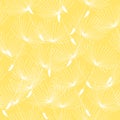 Seamless pattern background from a dandelion Royalty Free Stock Photo