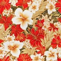 Seamless pattern background of hibiscus hawaii flowers in red and white color on black background Royalty Free Stock Photo