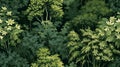 Seamless pattern background of a lush forest scene with a dense canopy of trees in various shades of the green tranquility of