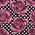 Seamless pattern, background with outlined pink roses, on polka dots background