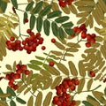 Seamless pattern background of red rowan with yellow and green leaves Royalty Free Stock Photo