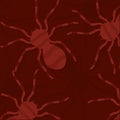 Seamless pattern background with spider insect icons Vector Royalty Free Stock Photo