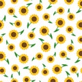 Seamless pattern background with sunflowers white background Royalty Free Stock Photo