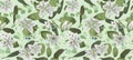 Seamless pattern, background, texture print with light watercolor hand drawn green color,eucalyptus, white lily, plants.