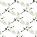 Seamless pattern, background with tropical birds. White heron, cockatoo parrot. Colored and outline design on navy blue