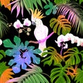 Seamless pattern, background. with tropical plants