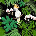 Seamless pattern, background. with tropical plants and flowers with white orchid flowers and tropical birds.