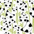 Seamless pattern with bamboo branches and cute panda heads on a white background. Royalty Free Stock Photo