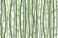 Seamless pattern with bamboo stalks. Silhouette of green bamboo on white background. Bamboo sticks and leaves. Vector illustration