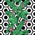 Seamless pattern with banana leaves. Decorative image of tropical foliage, flowers and fruits. Background made without Royalty Free Stock Photo