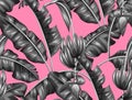 Seamless pattern with banana leaves. Decorative image of tropical foliage, flowers and fruits. Background made without Royalty Free Stock Photo