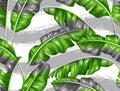 Seamless pattern with banana leaves. Image of decorative tropical foliage