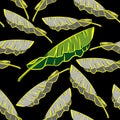 Seamless pattern banana leaves nature tropical with black background Royalty Free Stock Photo