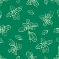 seamless pattern of basil leaves Royalty Free Stock Photo