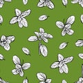 seamless pattern of basil leaves Royalty Free Stock Photo