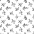 seamless pattern of basil leaves Royalty Free Stock Photo