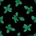 seamless pattern of basil leaves Royalty Free Stock Photo