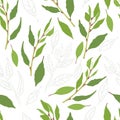Seamless Pattern with Bay Laurel Leaves and Twigs
