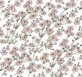 Seamless pattern blooming isolated flowers Vintage background Asters Cosmos Wallpaper Drawing engraving Vector illustration