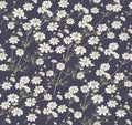 Seamless pattern blooming isolated flowers Vintage background Asters Cosmos Wallpaper Drawing engraving Vector illustration
