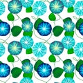 Seamless pattern with beautiful blue bindweed flowers, vector illustration Royalty Free Stock Photo
