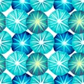 Seamless pattern with beautiful blue bindweed flowers, vector illustration Royalty Free Stock Photo
