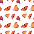 Seamless pattern with beautiful butterflies in bright colors on white background. Vector illustration for your design. Royalty Free Stock Photo