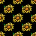 Seamless pattern with beautiful hand drawn gazania flowers. Vector doodle isolated on white background Royalty Free Stock Photo