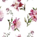 Seamless pattern with beautiful open pink peonies on white background.