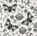 Seamless pattern peacock butterfly Realistic isolated flowers Vintage background Rose Wallpaper Drawing engraving agrostemma Royalty Free Stock Photo