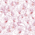 Seamless pattern with beautiful white alstroemeria lily flowers on white background template. Royalty Free Stock Photo