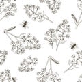 Seamless pattern with bees pollinating rapeseed