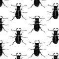 Seamless pattern with beetles