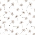 Seamless pattern, beige dandelion fluff on a white background. Print, background, textile, vector Royalty Free Stock Photo