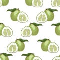 Seamless pattern with bergamots