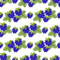 Seamless pattern with berries and BlackBerry leaves, great summer background for packaging design, fabrics, paper, vector