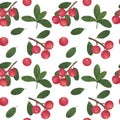 Seamless pattern Berries Cranberry branch leaves watercolor botanical illustration background wallpaper Royalty Free Stock Photo