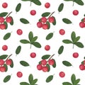 Seamless pattern Berries Cranberry branch leaves watercolor botanical illustration background wallpaper Royalty Free Stock Photo